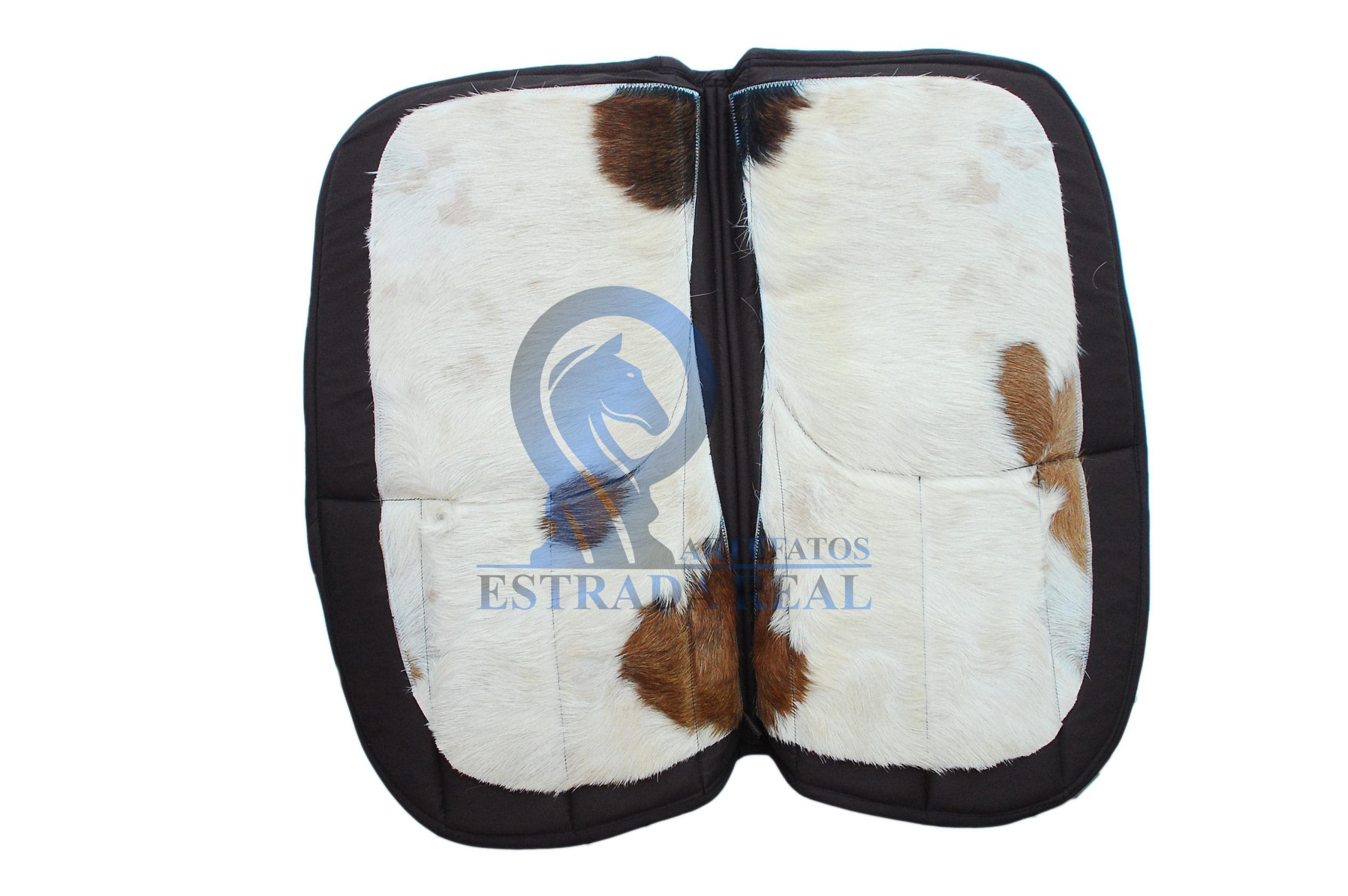 Pasfil dia 27 de fevereiro.. (87)-min