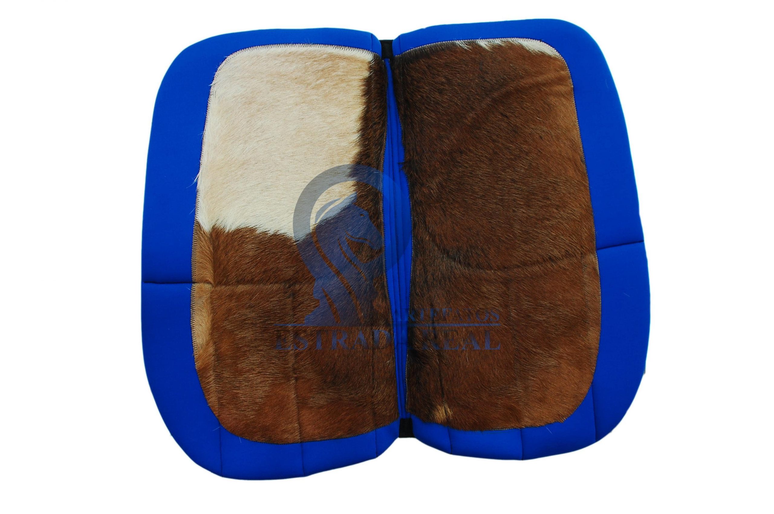 Pasfil dia 27 de fevereiro.. (93)-min